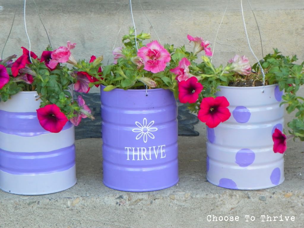 Thrive Hanging Baskets … out of formula!